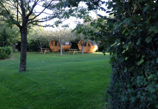 Glamping accommodation in wooden wine barrels at Minicamping De Bokkepsprong, surrounded by greenery in Zeeland.