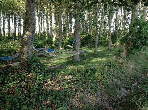 Zona de glamping en bosque con hamacas y bancos en Minicamping De Bokkepsprong - Wijnvaten en Zeeland, Países Bajos.