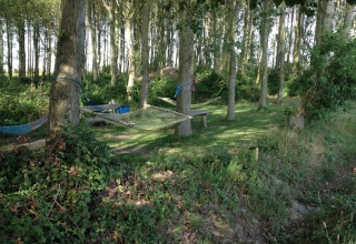 Boshut met hangmatten en banken bij Minicamping De Bokkepsprong - Wijnvaten in Zeeland, Nederland.