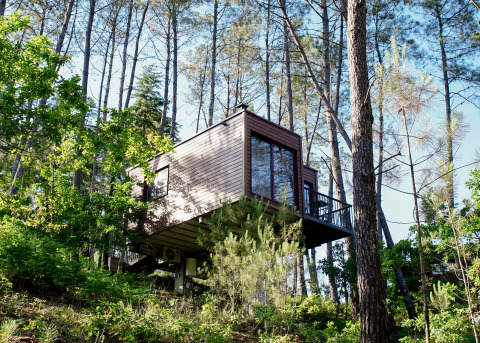 Treehouse accommodation in the forest at Lima Escape - Boomlodges and Glamping tents Portugal, surrounded by trees.