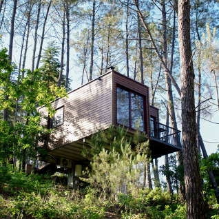 Træhytte i skoven ved Lima Escape - Boomlodges og Glamping telte i Portugal, omgivet af høje træer.