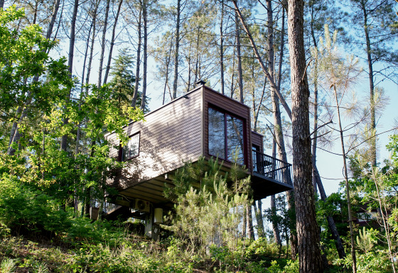 Boomhutaccommodatie in het bos bij Lima Escape - Boomlodges en Glamping tenten Portugal, omringd door bomen.