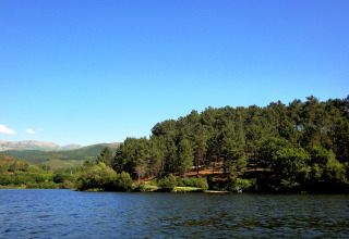 Vue pittoresque sur le lac et la forêt de pins près de Lima Escape Boomlodges et tentes glamping Portugal.