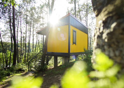 Cabane glamping Lima Escape au Portugal, perchée dans la forêt, baignée de soleil au lever du jour.