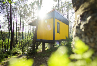 Escapada glamping Boomlodge en Lima Escape, Portugal, elevada entre árboles y naturaleza iluminada.