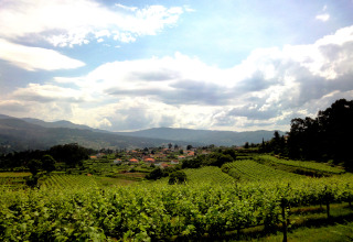 Vigneti verdi, colline e villaggio vicino a Lima Escape Boomlodges e tende glamping in Portogallo.