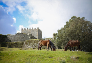 To heste græsser på en grøn mark foran en gammel stenkastel i Portugal under en blå himmel.