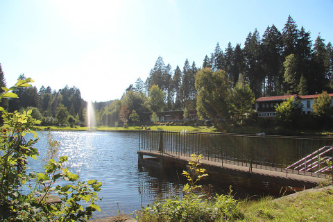 Vue sur le lac avec ponton, hébergements et forêt à Camping Isny - Luxe glamping Baden-Württemberg au soleil.