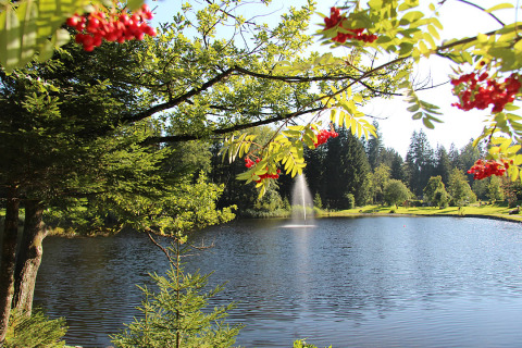 Vue pittoresque du lac et de la verdure à Camping Isny - Luxe glamping Baden-Württemberg par une journée ensoleillée.