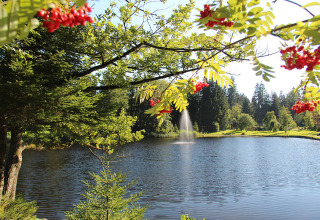 Vue pittoresque du lac et de la verdure à Camping Isny - Luxe glamping Baden-Württemberg par une journée ensoleillée.