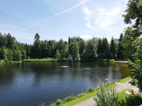 Ruhiger See mit umliegenden Bäumen bei Camping Isny - Luxe glamping Baden-Württemberg in Deutschland.