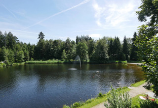 Ruhiger See mit umliegenden Bäumen bei Camping Isny - Luxe glamping Baden-Württemberg in Deutschland.