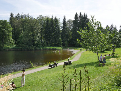 Green camping area by a lake with guests, benches, and trees at Camping Isny - Luxe Glamping in Baden-Württemberg.