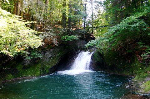 Beautiful campsite with waterfall and lush forest at Camping Isny - Luxe glamping Baden-Württemberg in Germany