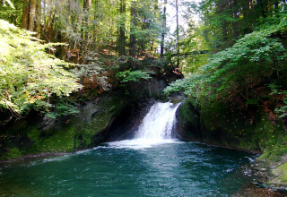 Hermoso camping junto a una cascada y bosque verde en Camping Isny - Luxe glamping Baden-Württemberg, Alemania