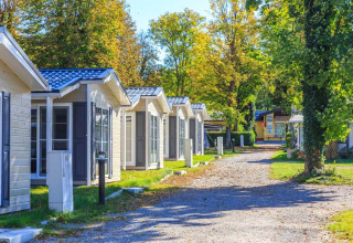 Camping Pilsensee - Stacaravans Beieren: Rijtje knusse stacaravans aan een pad, omgeven door bomen op een zonnige camping.