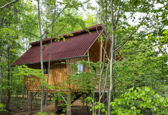 Alojamiento glamping en casa del árbol en Boomhutpark Voglsam, rodeado de árboles verdes en Baviera.