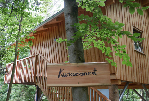 Casa sull’albero in legno con cartello 'Kuckucksnest' nel bosco a Boomhutpark Voglsam, Baviera, glamping.