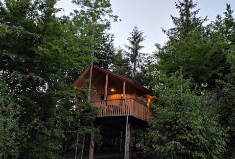 Sfeervolle boomhut in Boomhutpark Voglsam - Boomhutten Beieren, perfect voor een unieke glampingervaring.