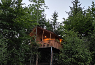 Cabane perchée au Boomhutpark Voglsam - Boomhutten Beieren, entourée d’arbres, idéale pour le glamping.