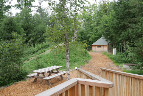 Aussicht auf Boomhutpark Voglsam - Boomhutten Beieren Glamping mit Wald, Weg und Holzhütte im Sommer.