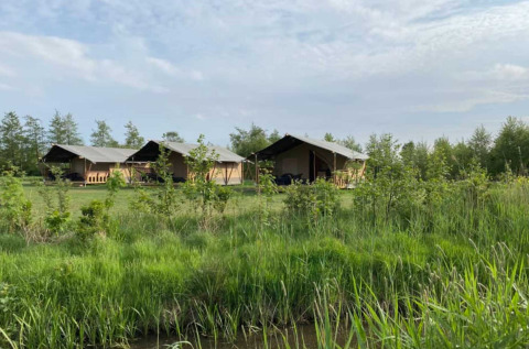 Alloggio glamping con tende safari presso Camping Natuurlijk de Veenhoop nel verde Friesland.