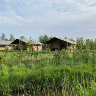Glamping-Unterkunft mit Safarizelten auf Camping Natuurlijk de Veenhoop im grünen Friesland.