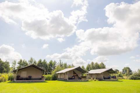 Trois tentes safari au Camping Natuurlijk de Veenhoop - Safaritenten Friesland, sur une pelouse verdoyante.