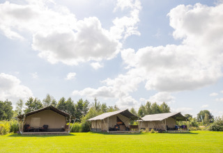 Drie safaritenten op Camping Natuurlijk de Veenhoop - Safaritenten Friesland, met blauwe lucht en groen gras.