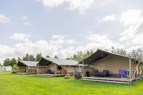 Sistemazione glamping con tende safari al Camping Natuurlijk de Veenhoop in Frisia, Paesi Bassi, su prato verde.