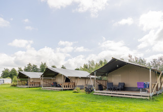 Sistemazione glamping con tende safari al Camping Natuurlijk de Veenhoop in Frisia, Paesi Bassi, su prato verde.