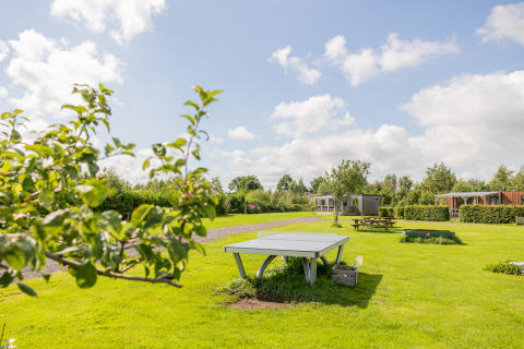 Green campground with ping pong table, benches, and cabins at Camping Natuurlijk de Veenhoop Safaritenten Friesland.