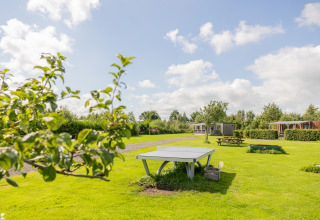 Groene camping met pingpongtafel, picknickbanken en hutten bij Camping Natuurlijk de Veenhoop Safaritenten Friesland.