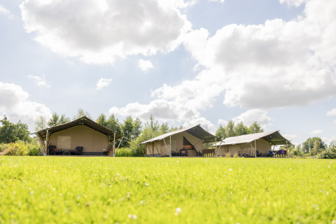 Glamping tents at Camping Natuurlijk de Veenhoop in Friesland, set on lush grass under a blue sky.