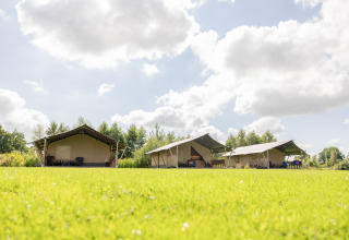 Glamping tents at Camping Natuurlijk de Veenhoop in Friesland, set on lush grass under a blue sky.