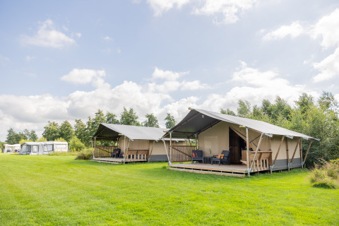 Sistemazione glamping al Camping Natuurlijk de Veenhoop con tende safari nei verdi campi della Frisia.