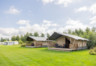 Hébergement glamping au Camping Natuurlijk de Veenhoop avec tentes safari dans la campagne verte de Frise.
