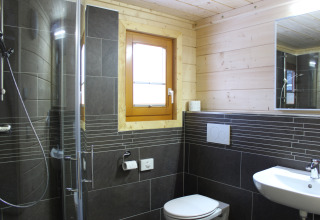 Baño moderno con ducha, inodoro y lavabo en una cabaña de Höhencamping Königskanzel, Selva Negra.