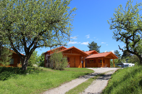 Glampingaccommodatie Höhencamping Königskanzel - Lodge in het Zwarte Woud omgeven door bomen.