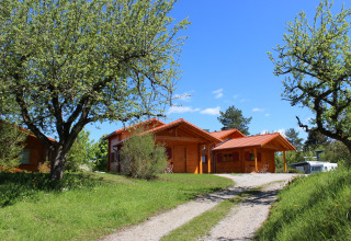 Glamping-Unterkunft Höhencamping Königskanzel – Lodge im Schwarzwald mit grüner Landschaft.