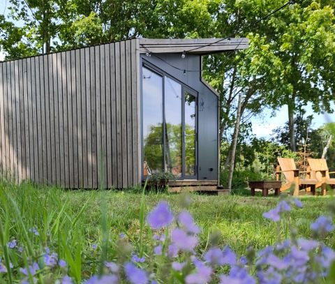 Glamping-Unterkunft bei Uitstek - Tiny Houses Drenthe, umgeben von Bäumen, Wiese und lila Wildblumen.