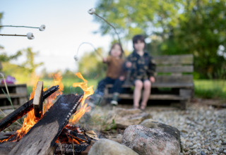 Niños asan malvaviscos al fuego en Uitstek - Tiny Houses Drenthe, rodeados de naturaleza al aire libre.