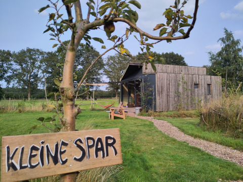 En lille træhytte ved navn 'Kleine Spar' på en grøn mark, perfekt til glamping i Drenthe, Holland.