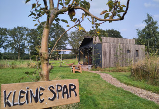 Piccola casa in legno chiamata 'Kleine Spar' per glamping, immersa nel verde a Drenthe, Paesi Bassi.