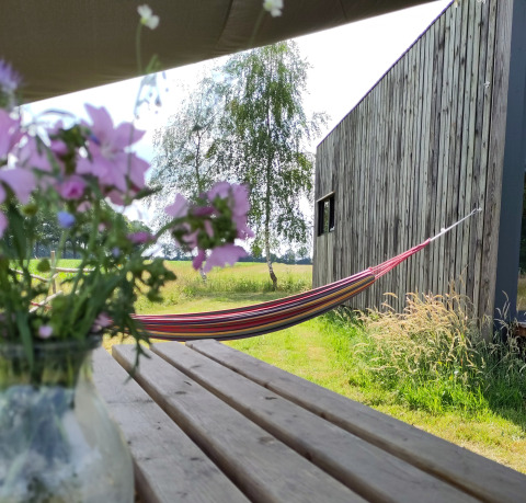 Udendørs scene ved Uitstek - Tiny Houses Drenthe med hængekøje, blomster og træborde i solen.
