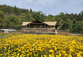 Lodges de glamping Casa da Vinha en Alentejo, entourés de fleurs jaunes et d’arbres verts en pleine campagne.