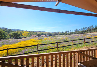 Uitzicht vanaf Casa da Vinha - Glamping Lodges in Alentejo op wilde bloemenvelden en glooiende heuvels in de zomer.