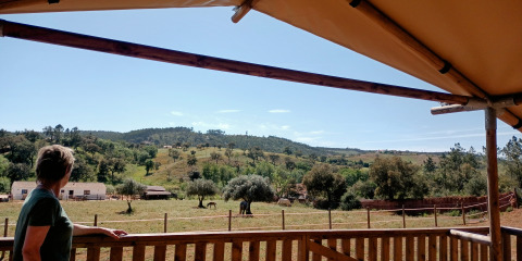Persona ammira la vista da Casa da Vinha - Glamping Lodges in Alentejo, tra campi e cavalli.