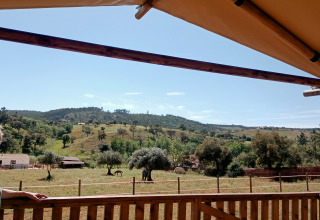 Persoon kijkt uit vanaf Casa da Vinha - Glamping Lodges in Alentejo over weilanden met paarden.