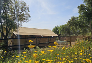 Glampinghus Casa da Vinha i Alentejo omgivet af blomster og træer under en klar, blå himmel.
